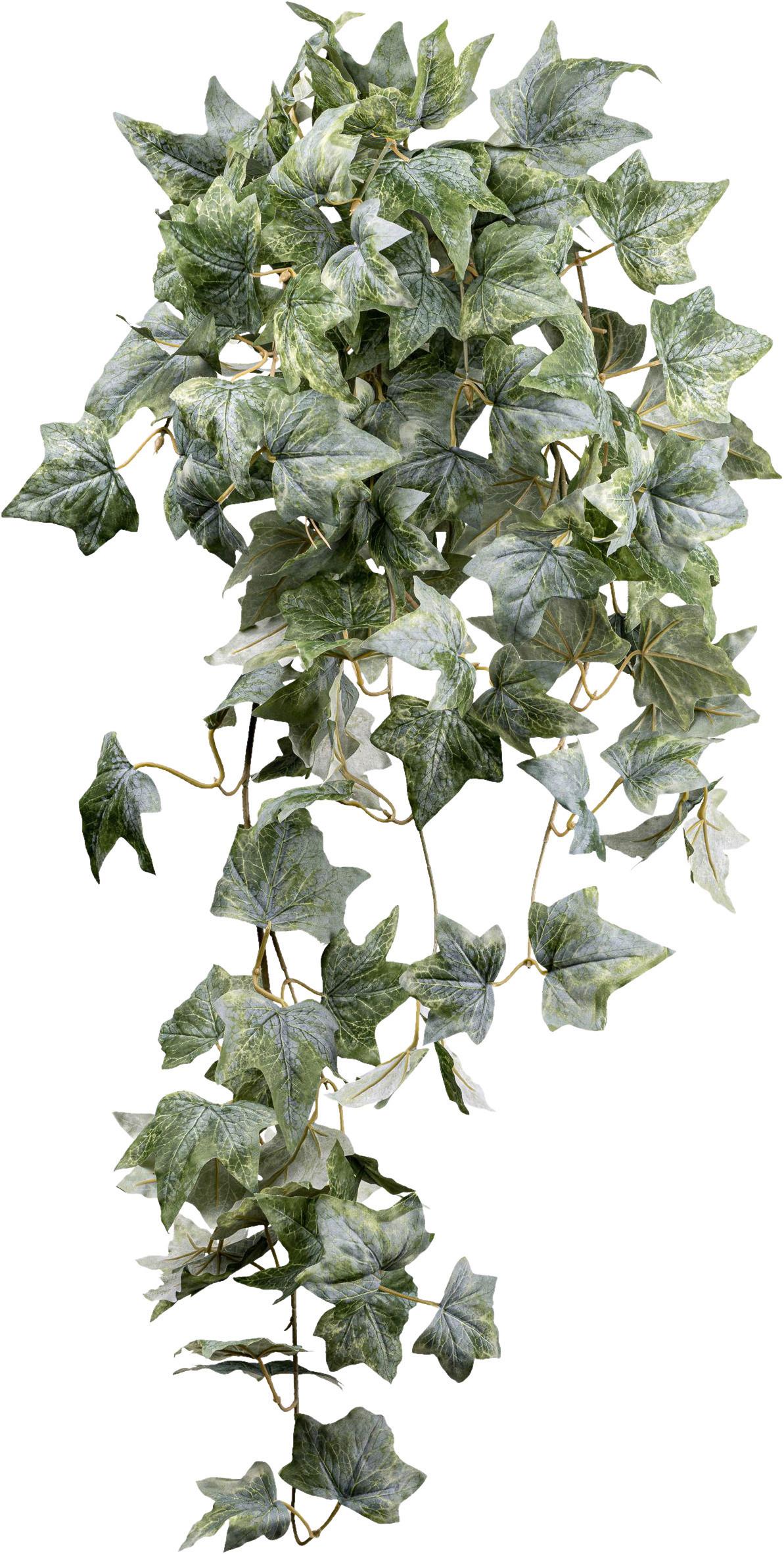 Kunstpflanze Efeu H: 96 cm - Grau/Grün, Design, Kunststoff (96cm) - P & B