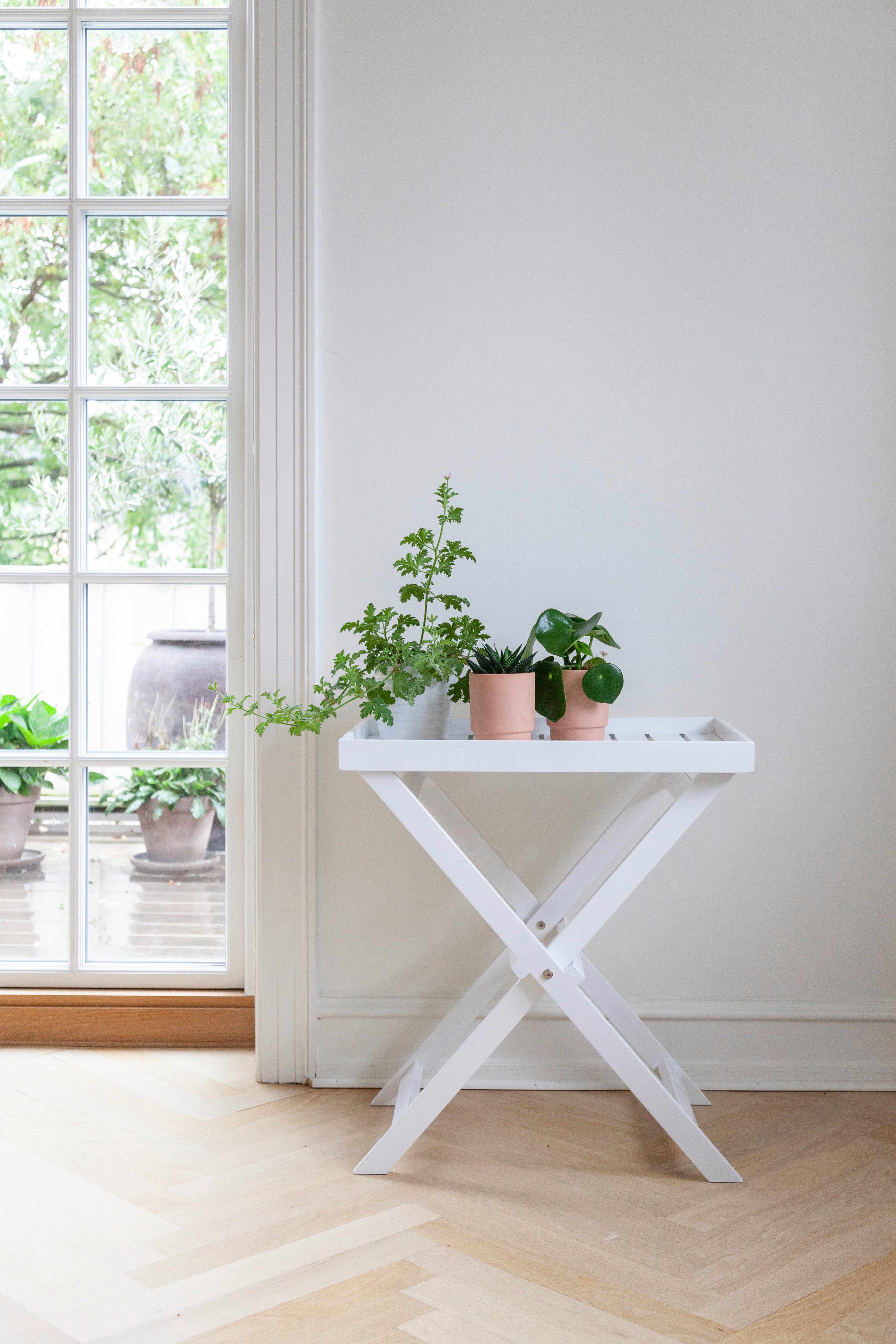 Gartentisch Klappbar Tray Table Mahagoniholz L 60cm - Weiß Hochglanz, KONVENTIONELL, Holz (60/40/65cm) - MID.YOU