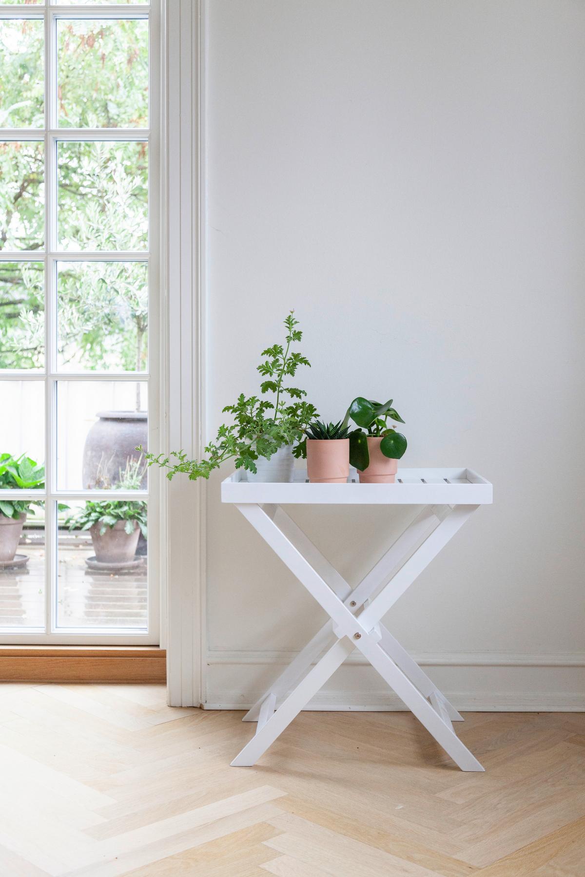 Gartentisch Klappbar Tray Table Mahagoniholz L 60cm - Weiß Hochglanz, KONVENTIONELL, Holz (60/40/65cm) - MID.YOU