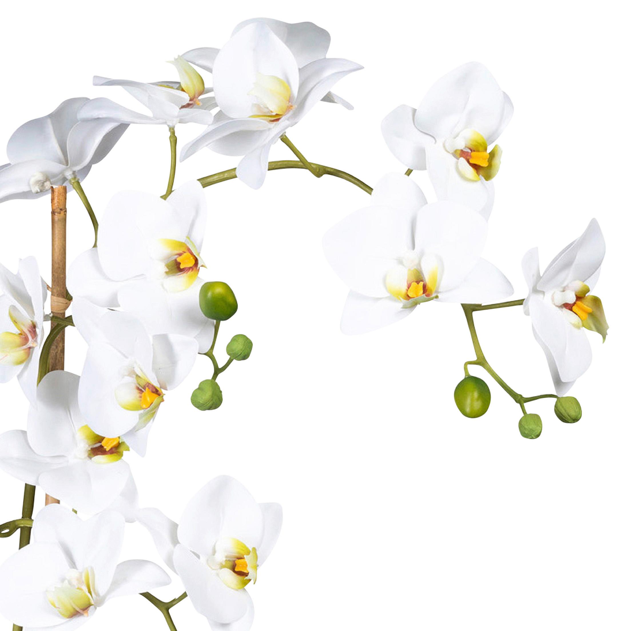 Kunstpflanze Orchideen Grün/Weiß, 60 cm - Weiß/Grün, Design, Keramik/Kunststoff (60cm) - P & B