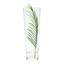 Váza Conical - čiré, Moderní, sklo (17/50cm) - Mömax modern living Váza Conical - čiré, Moderní, sklo (17/50cm) - Mömax modern living