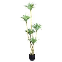 Kunstpflanze Sukkuleten Grau/grün/schwarz, 160 Cm - Schwarz/Braun, Design, Kunststoff (160cm) - P & B