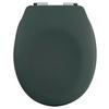 WC-Sitz Neela - Dunkelgrün, KONVENTIONELL, Kunststoff (37,3/5cm) - Spirella