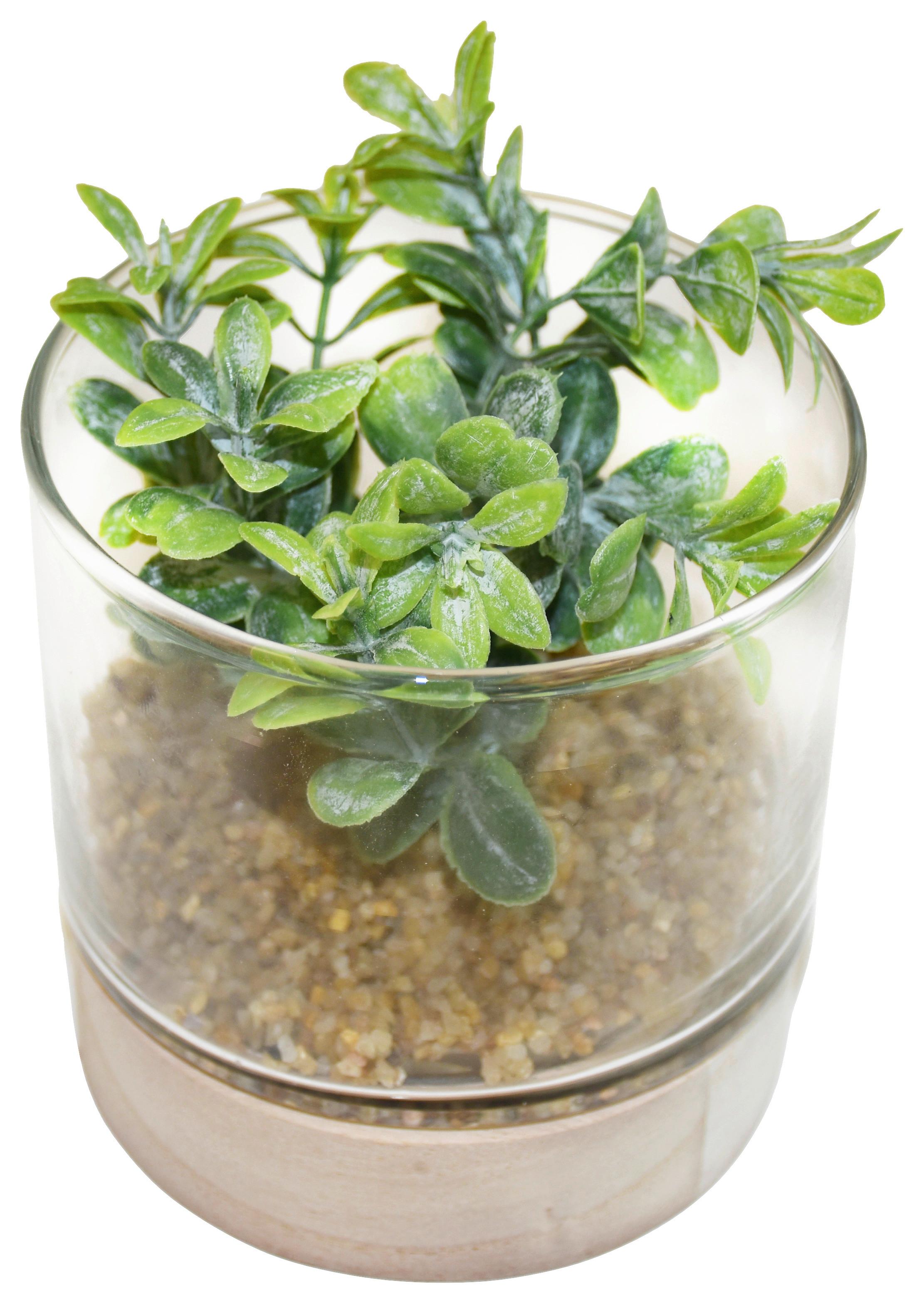 Umelá rastlina Sukulent, 10/10cm - zelená, Basics, drevo/plast (10/10cm) - Modern Living