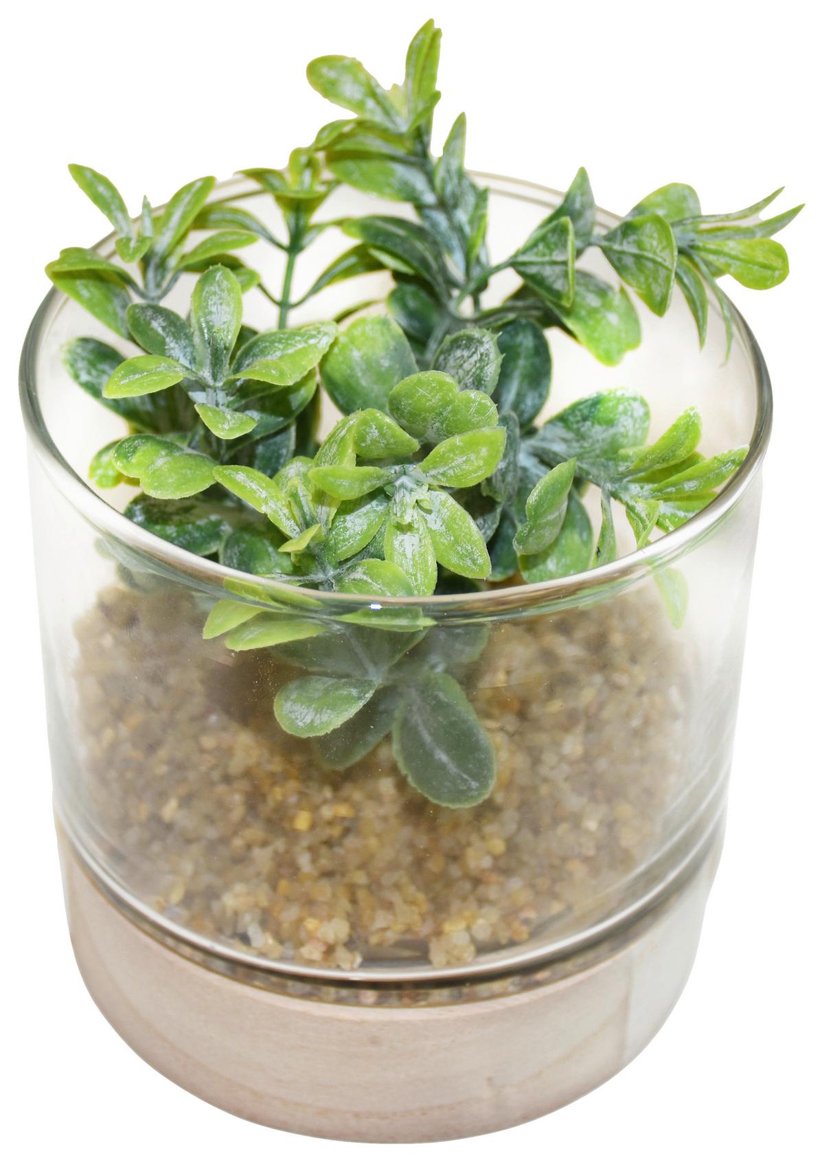 Umelá rastlina Sukulent, 10/10cm - zelená, Basics, drevo/plast (10/10cm) - Modern Living