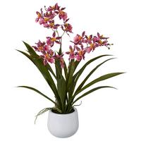 Kunstpflanze Orchideen Dunkelrosa, Topf: Weiß,h:50 cm - Dunkelrosa/Weiß, Design, Keramik/Kunststoff (50cm) - P & B