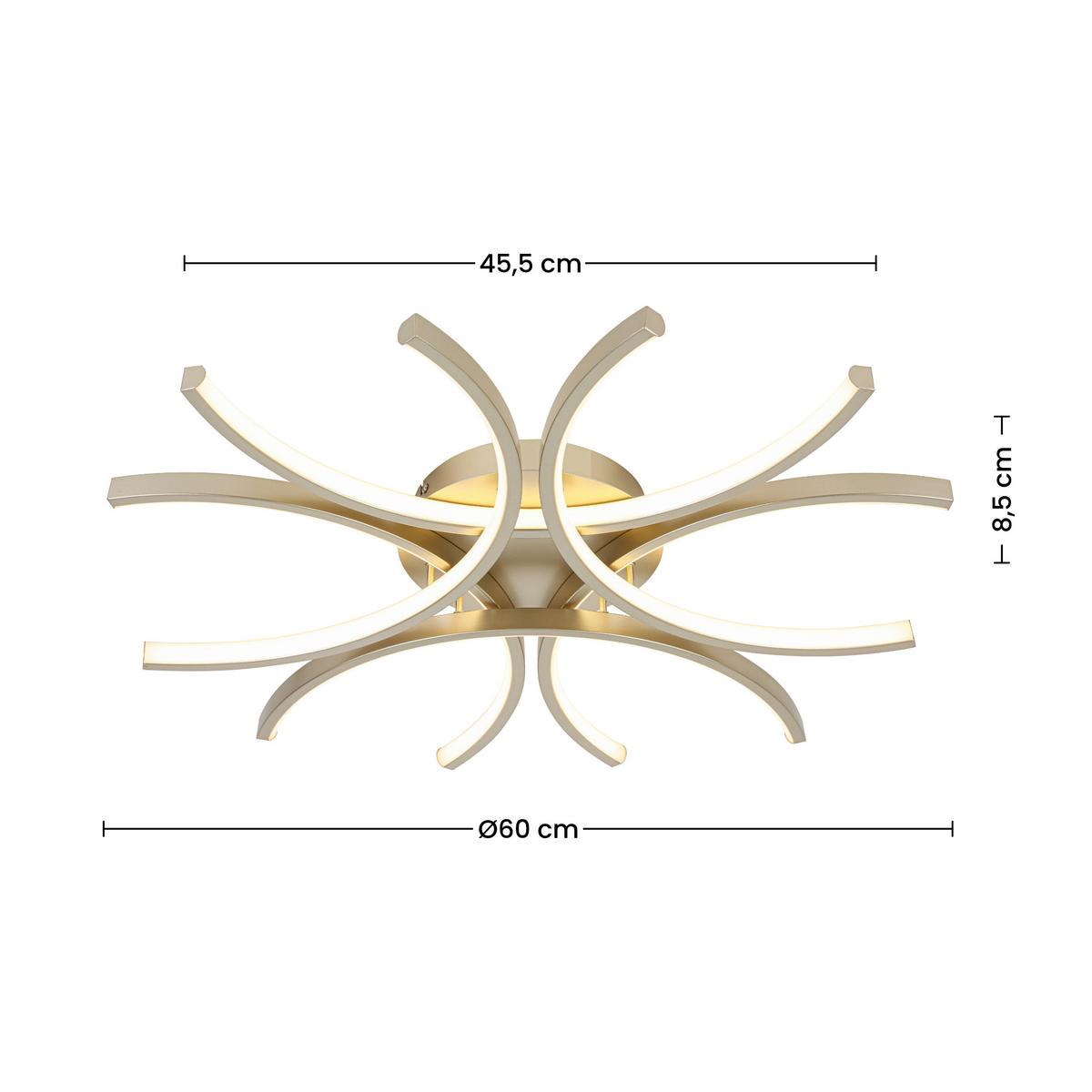 LED-DECKENLEUCHTE CYRUS - Champagner, Basics, Kunststoff/Metall (60/8,5cm) - Luca Bessoni