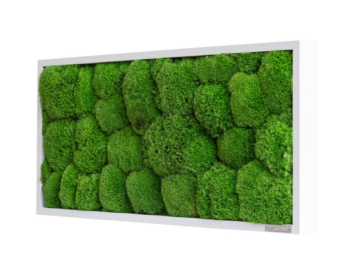 Moosbild Grün B: 57 cm - Weiß/Grün, Basics, Naturmaterialien/Holz (57/27/7cm)