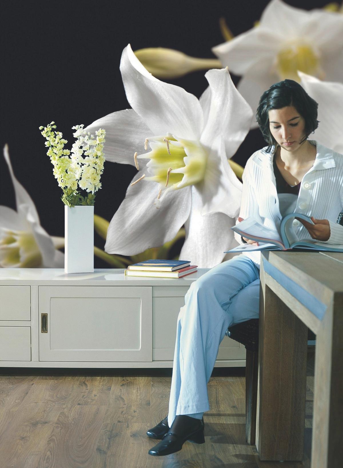 Fototapete 4-259 - Schwarz/Weiß, Natur, Papier (254/184cm) - Komar