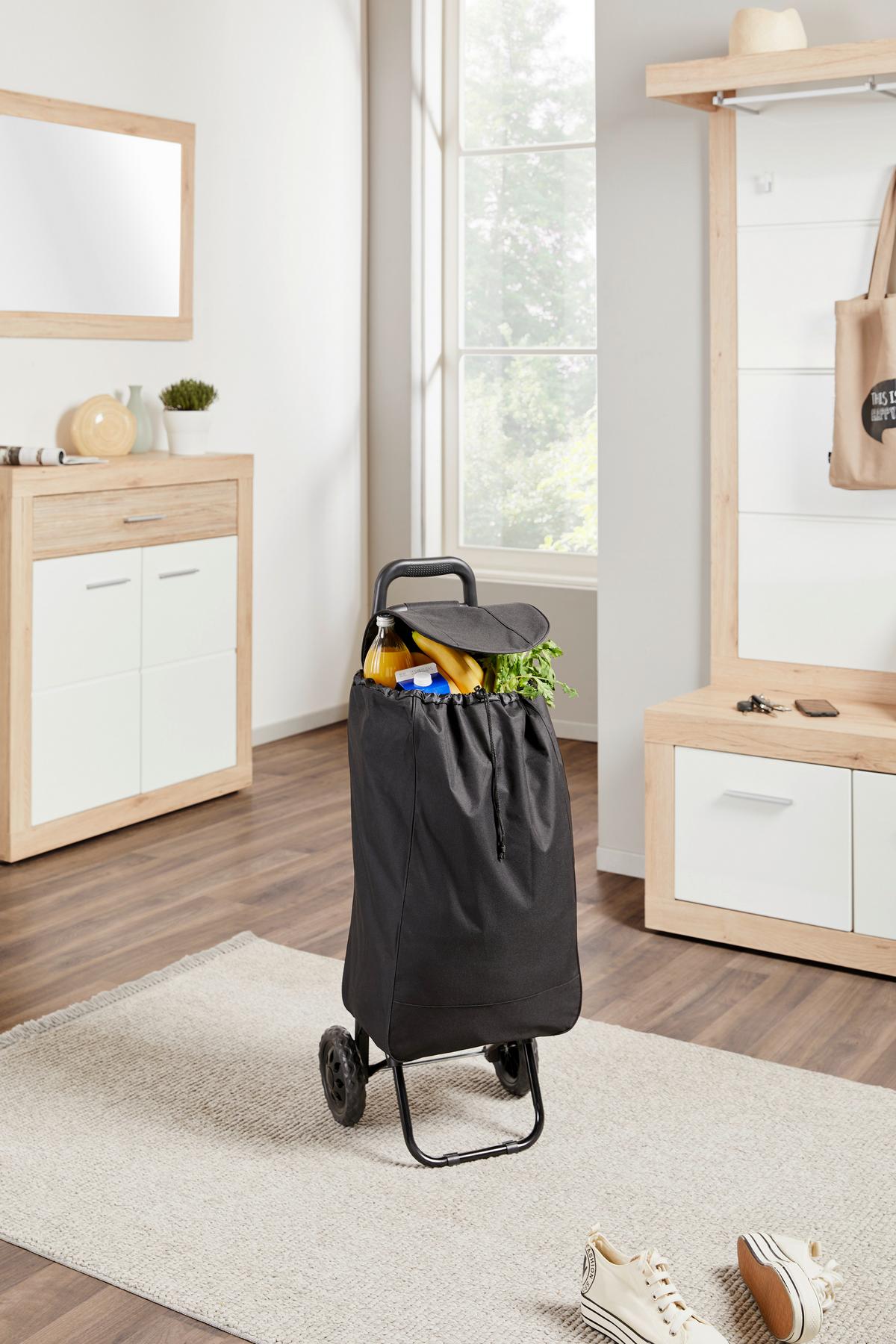 Einkaufstrolley Pengyou - Silberfarben/Schwarz, KONVENTIONELL, Kunststoff/Textil (92/35/28cm) - Luca Bessoni