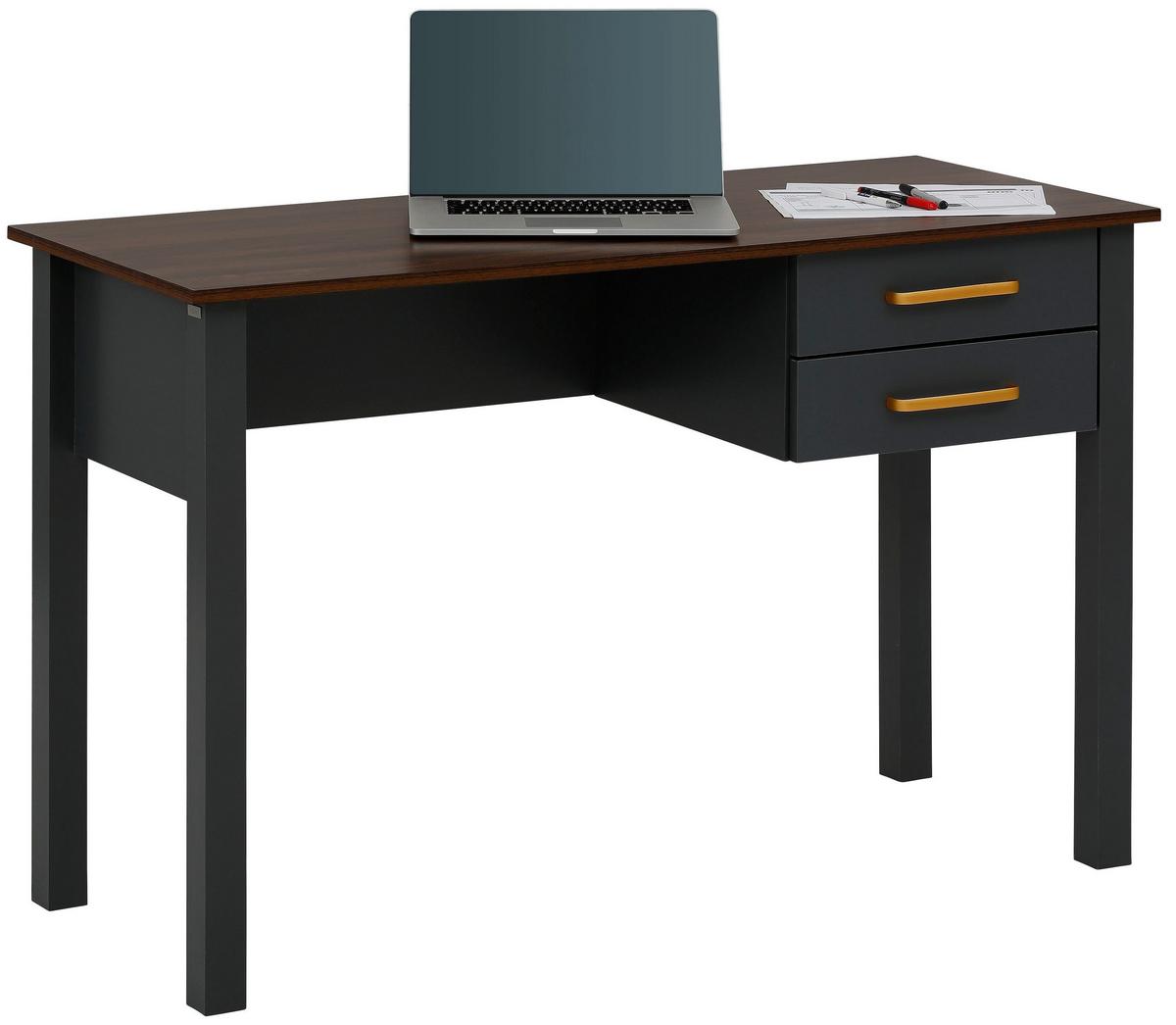 Schreibtisch Marion Grau 120 cm - Grau, Design, Holzwerkstoff (120/77/50cm) - MID.YOU