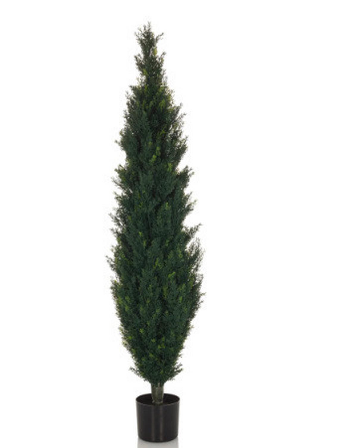 Kunstpflanze Cedrus 152 Cm Grün - Schwarz/Grün, Basics, Kunststoff (35/152/35cm) - MID.YOU