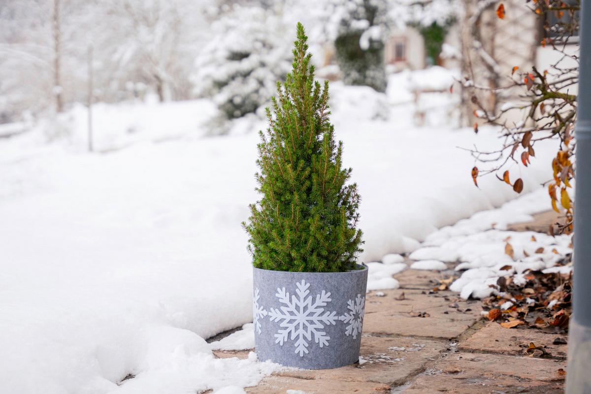 Deko Filz Topfschutz, 114x25cm , Schneeflocke M - Grauweiß, Basics, Kunststoff (114/25cm) - Windhager