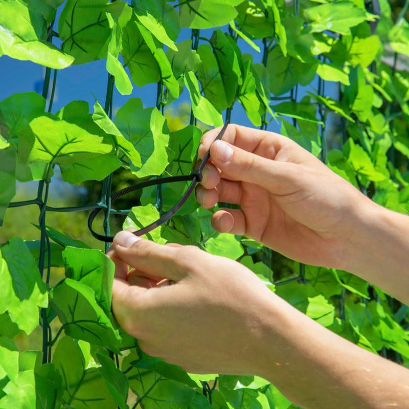 Sichtschutzhecke Labrusca Grün H: 100 cm