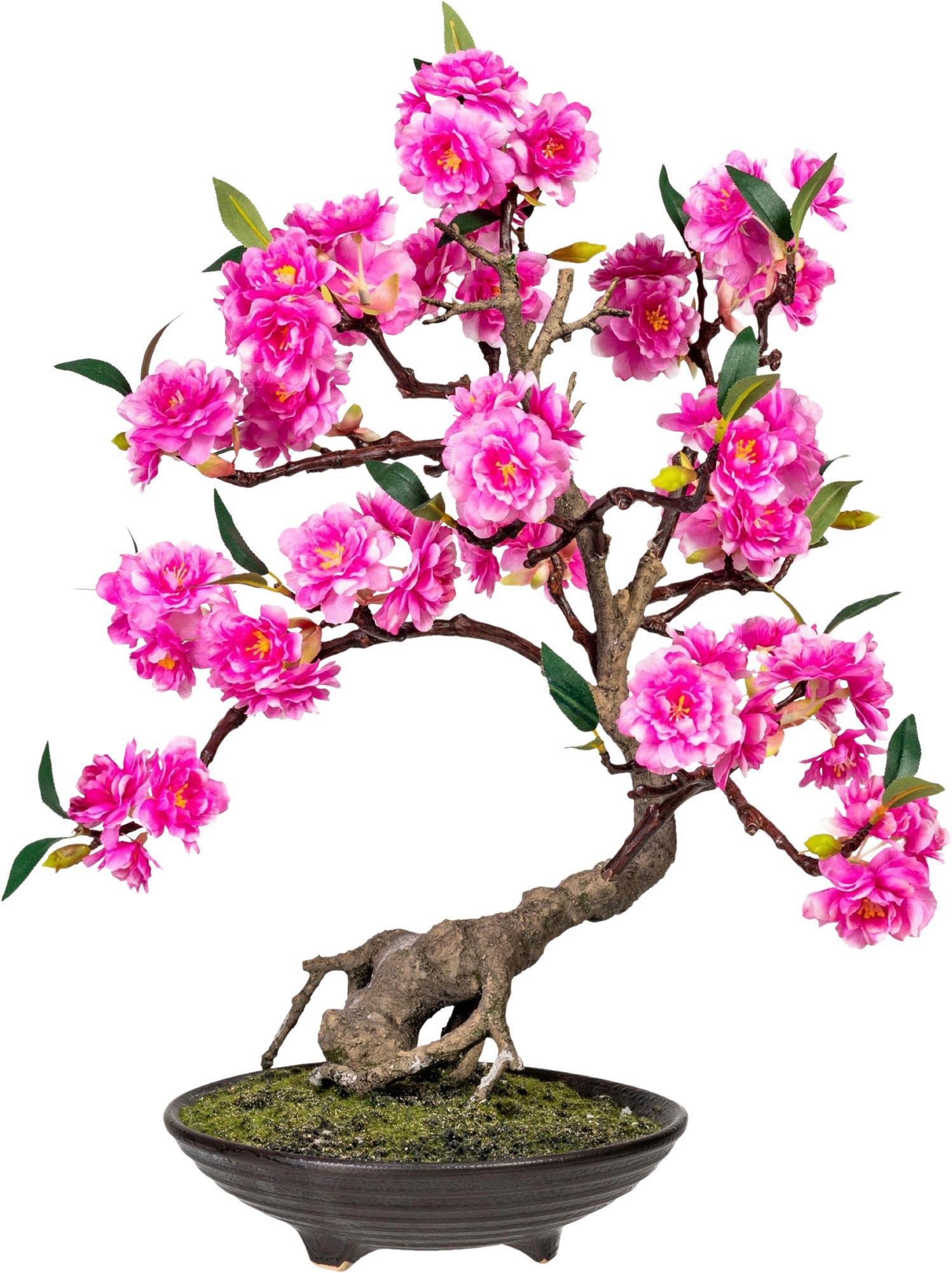 Kunstpflanze Bonsai Braun/Grün/Pink, 50 cm - Pink/Braun, Design, Keramik/Kunststoff (50cm) - P & B
