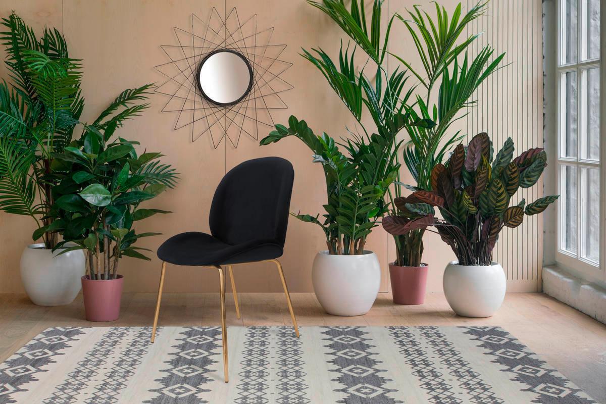 Sada stoličiek čierna - čierna/mosadzná, Modern, kov/plast (47/90/59cm)