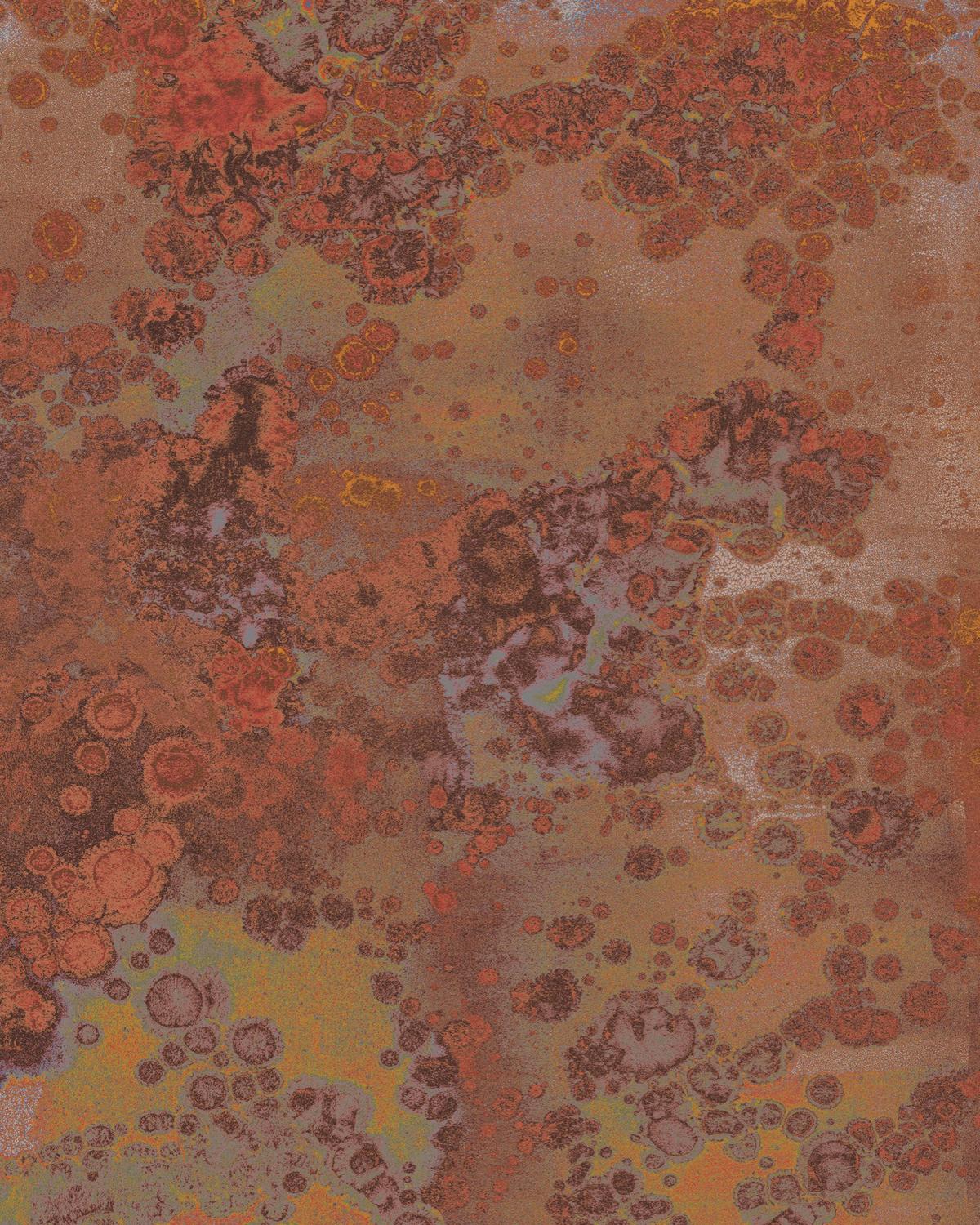 Vliestapete Patina - Braun, Basics (200/250cm) - Komar