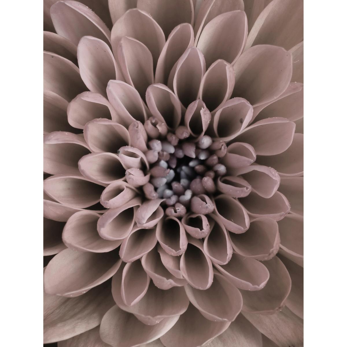 PLAKÁT VINCENT - vícebarevná, papír (30/40cm) - Modern Living