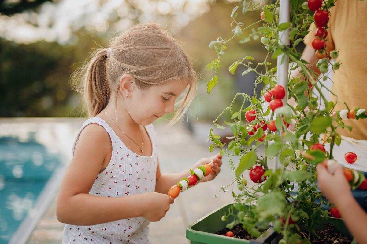 Pflanzentopf Tom Tomato Dunkelgrün - Dunkelgrün, Basics, Kunststoff (34,7/135,4/27,7cm) - Gusta Garden