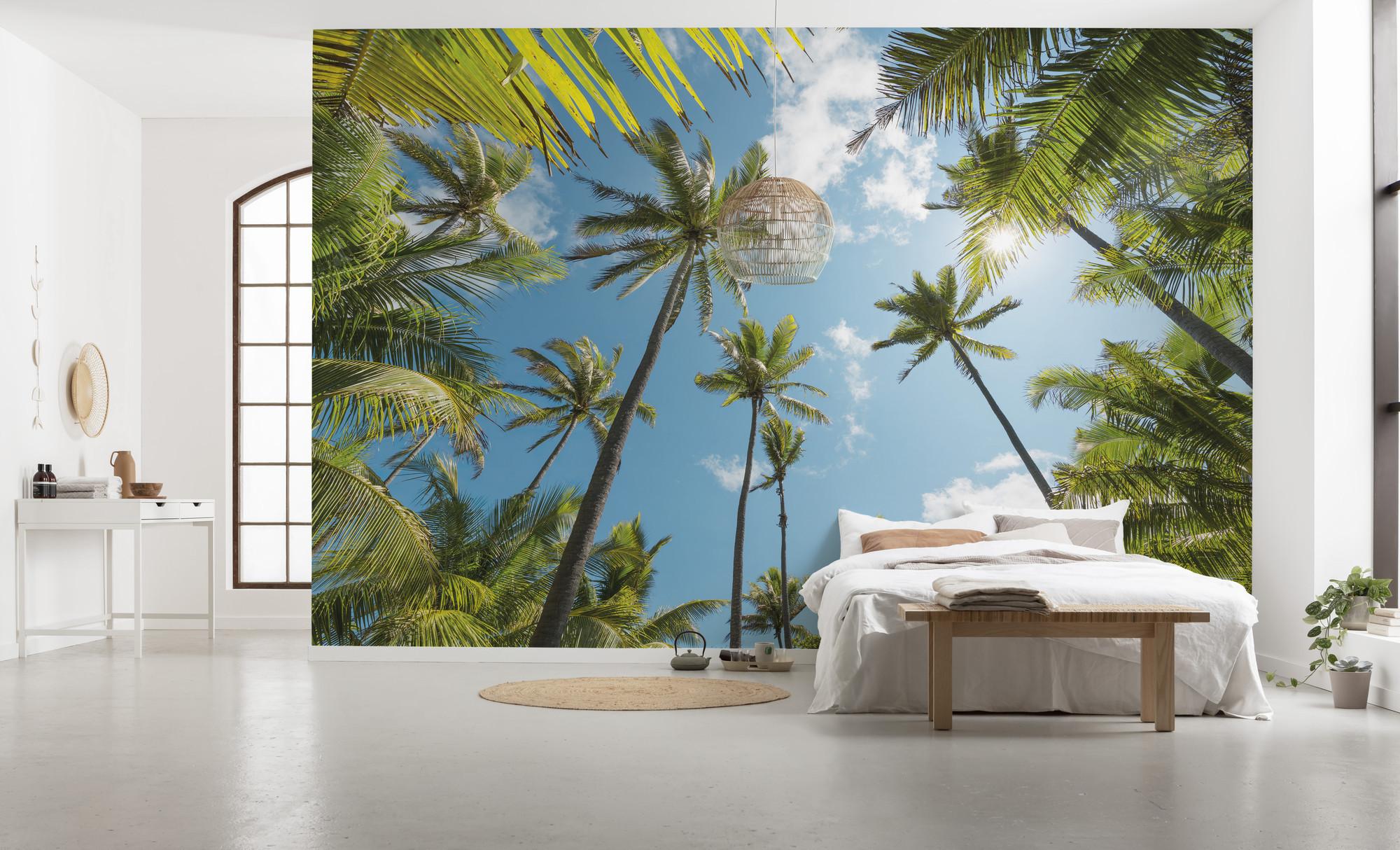 Fototapete Coconut Heaven - Multicolor, Trend, Textil (450/280cm)