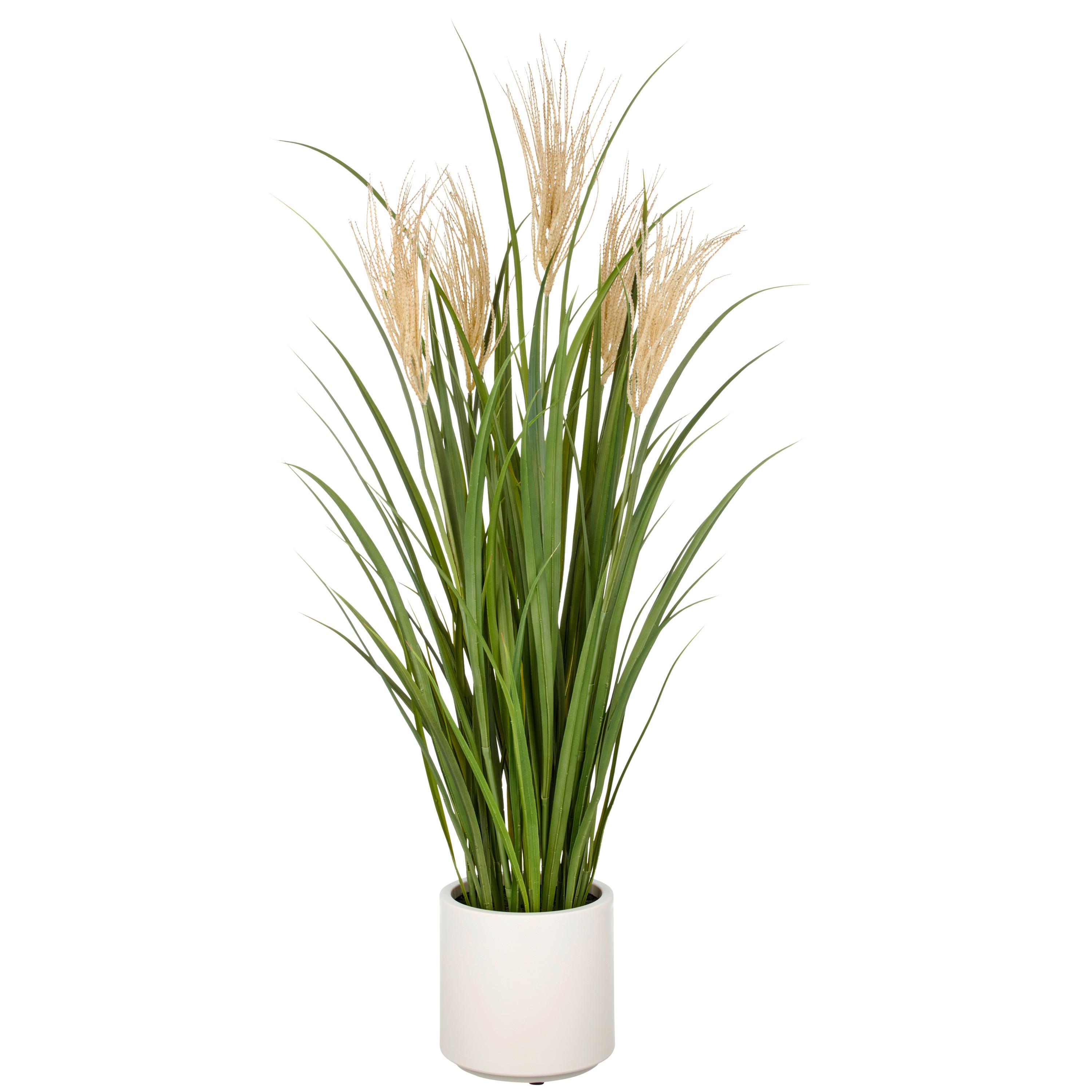 Kunstpflanze Creme Grün B: 25 cm - Creme/Grün, Basics, Kunststoff (25/120/25cm)