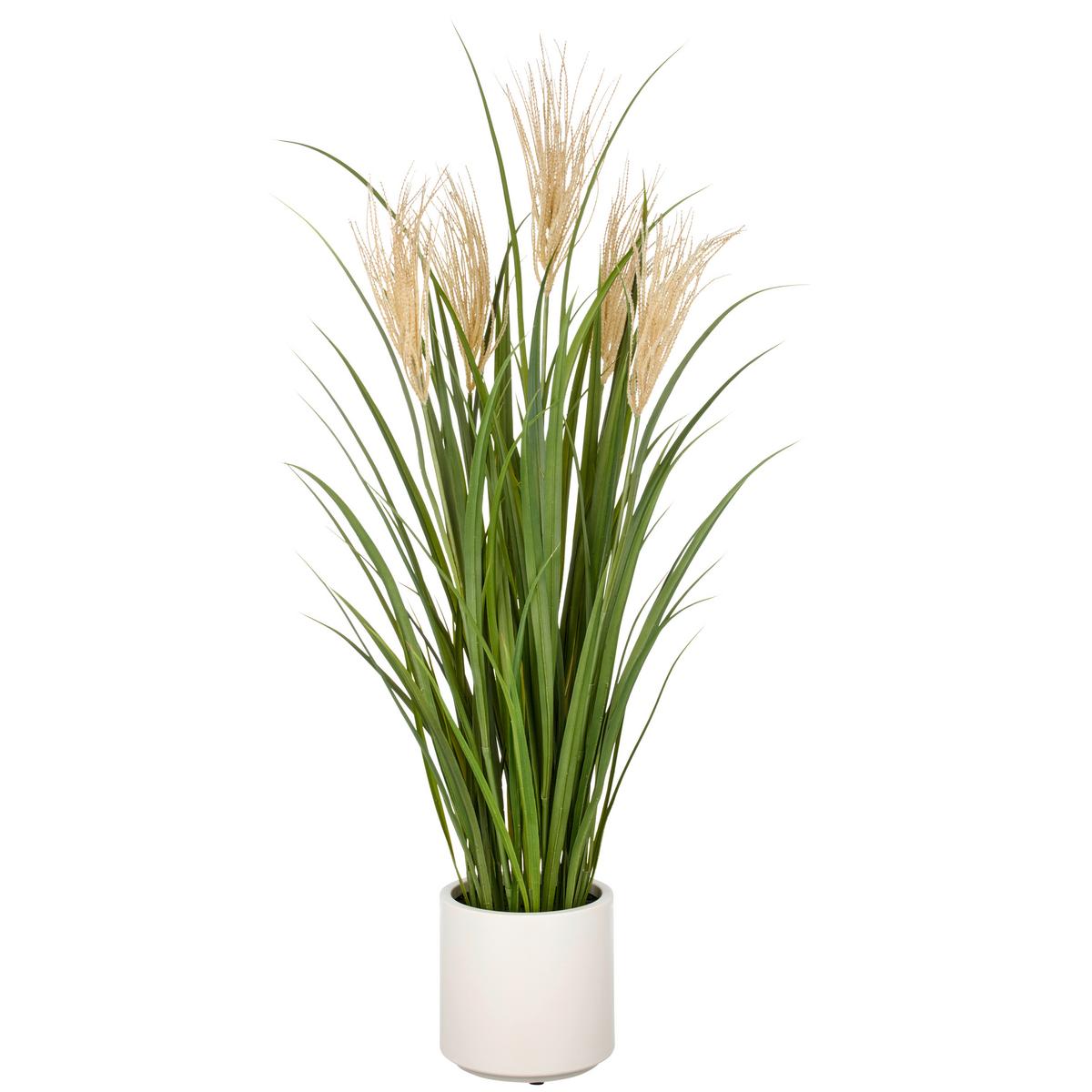 Kunstpflanze Creme Grün B: 25 cm - Creme/Grün, Basics, Kunststoff (25/120/25cm)