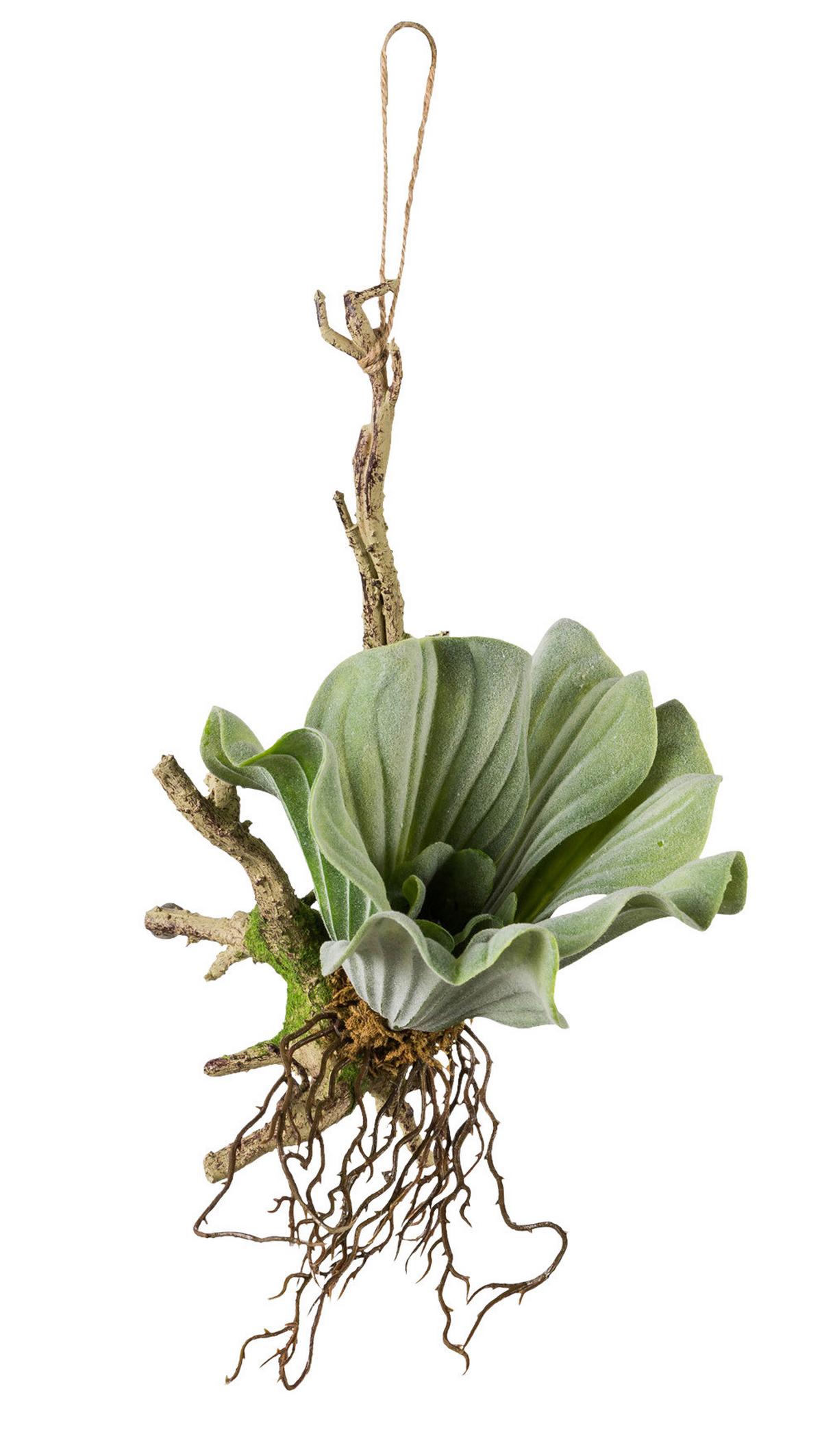 Pozsgás Ronny - barna/zöld, Natur, műanyag (28cm)