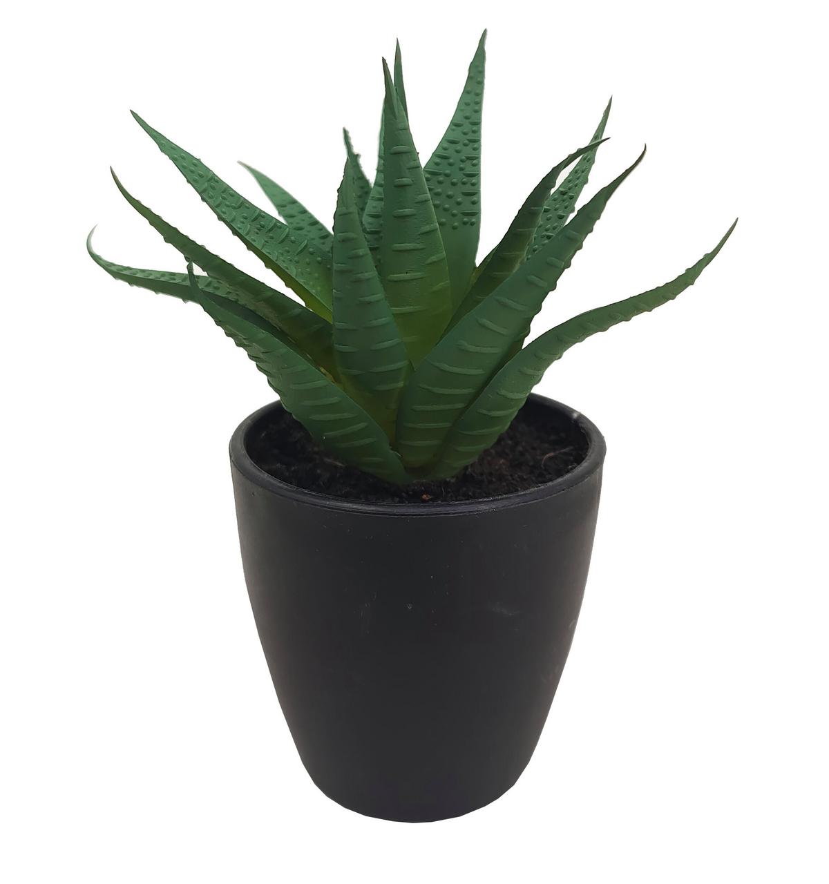 Kunstpflanze Isabella - Weiß/Grün, MODERN, Kunststoff (8/9-16cm) - Luca Bessoni