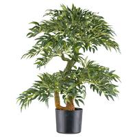 Umělá rostlina RUCUS, výška 80cm - černá/zelená, Konvenční, plast (14,5/80cm) - Mömax