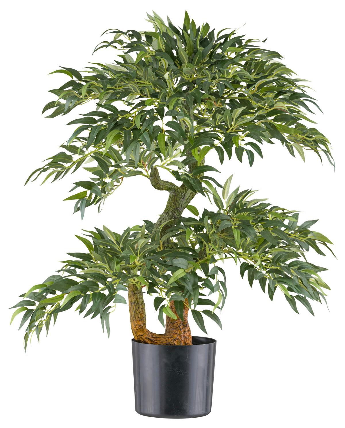 Umělá rostlina RUCUS, výška 80cm - černá/zelená, Konvenční, plast (14,5/80cm) - Mömax