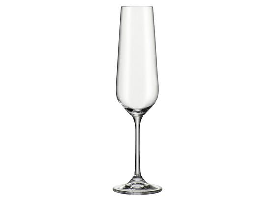 Sklenice Na Sekt Norma - čiré, Moderní, sklo (0,22l) - Bohemia Sklenice Na Sekt Norma - čiré, Moderní, sklo (0,22l) - Bohemia
