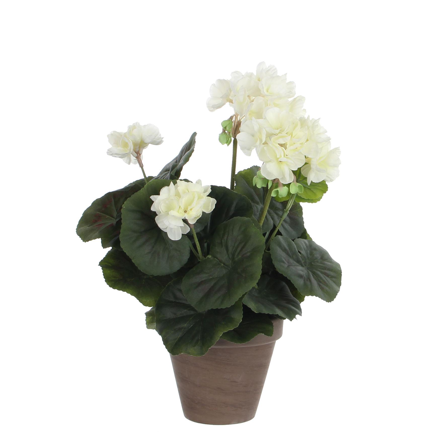Kunstpflanze Geranium Sontje Creme