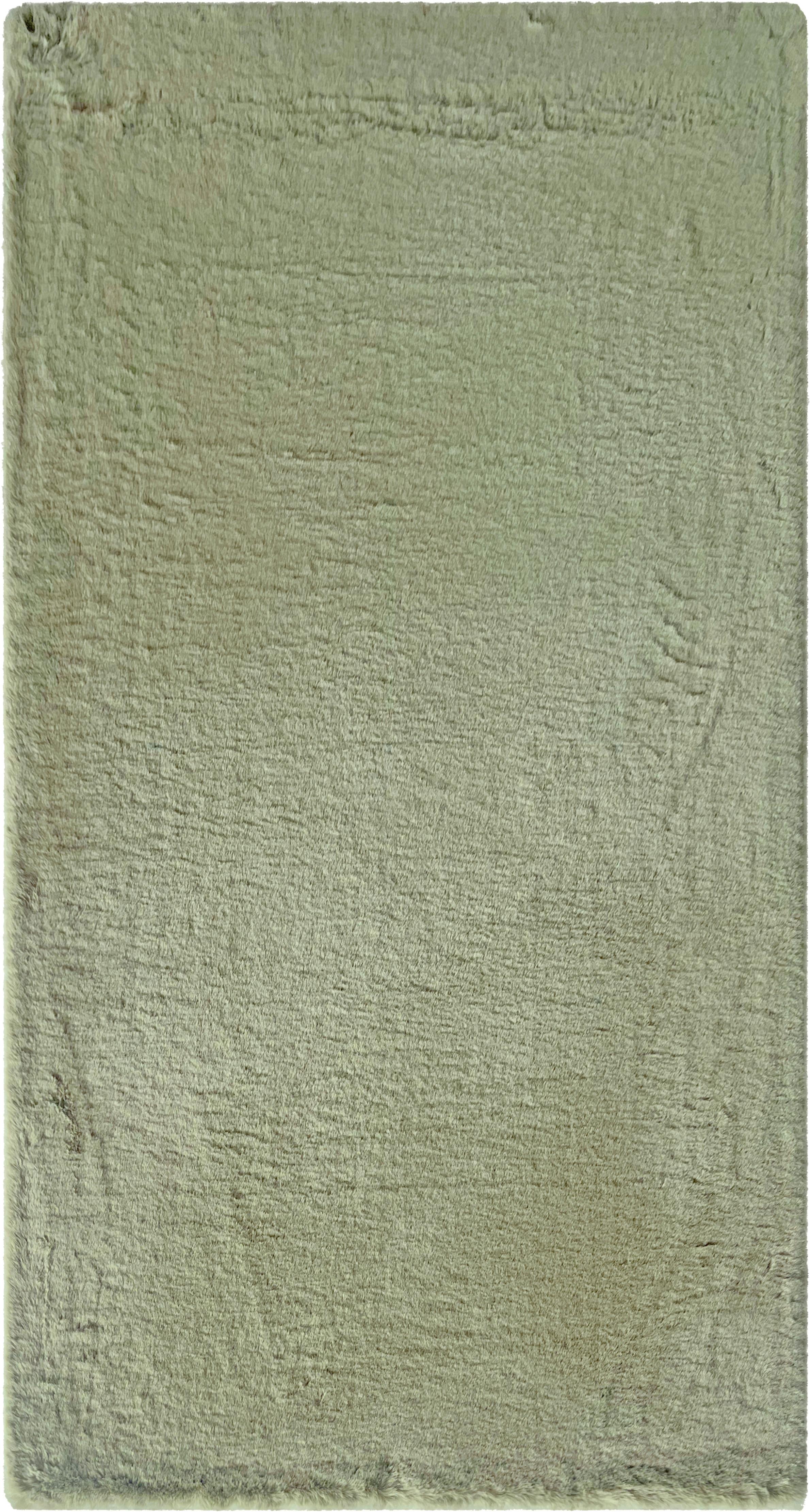 UMELÁ KOŽUŠINA CAROLINE 1 - svetlozelená/šalviovozelená, Konventionell, textil (80/150cm) - Mömax