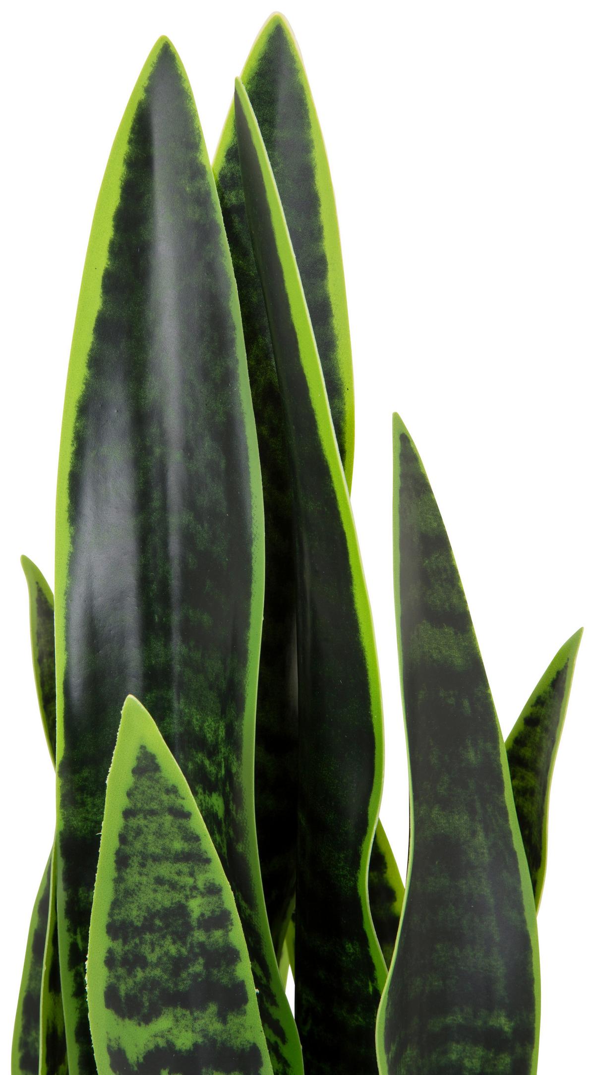Kunstpflanze Sansevieria - Weiß/Grün, Basics, Kunststoff/Textil (16/65/16cm) - MID.YOU