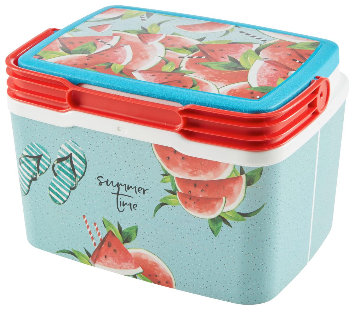 Kühlbox Erika - Multicolor, KONVENTIONELL, Kunststoff (28,5/21,5/19cm) - Luca Bessoni