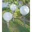 Solárne Svietidlo Adrian - biela/strieborná, plast (20/66cm) - Mömax modern living Solárne Svietidlo Adrian - biela/strieborná, plast (20/66cm) - Mömax modern living