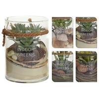 Pozsgás Filip - bézs/barna, Lifestyle, műanyag/Üveg (10/13,5cm)