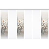 Flächenvorhang Aristea 6er Set - Hellgrau/Naturfarben, Natur, Textil (60/245cm)