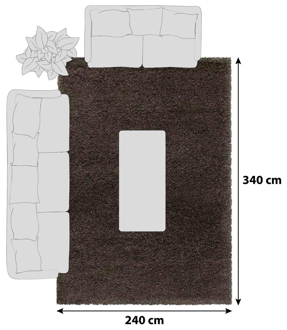Hochflor Teppich Braun Naturfaser Fluffy 240x340 cm - Braun, Basics, Textil (240/340cm)