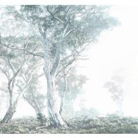 Fototapete Magic Trees - Blau/Weiß, Trend (300/280cm)