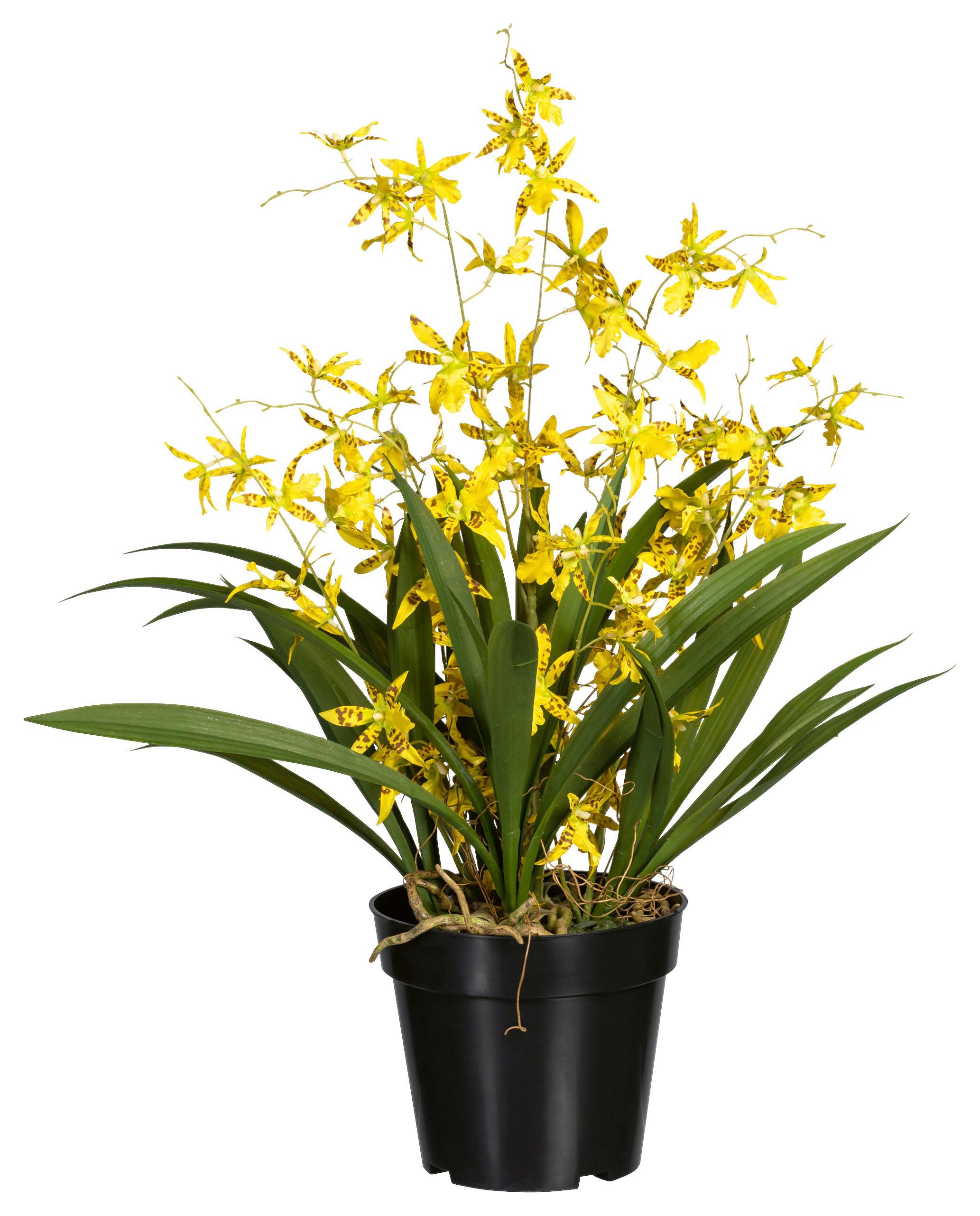 Kunstpflanze Orchideen Gelb/Grün/Schwarz, 60 cm - Gelb/Schwarz, Design, Kunststoff/Textil (60cm) - P & B