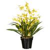 Kunstpflanze Orchideen Gelb/Grün/Schwarz, 60 cm - Gelb/Schwarz, Design, Kunststoff/Textil (60cm) - P & B