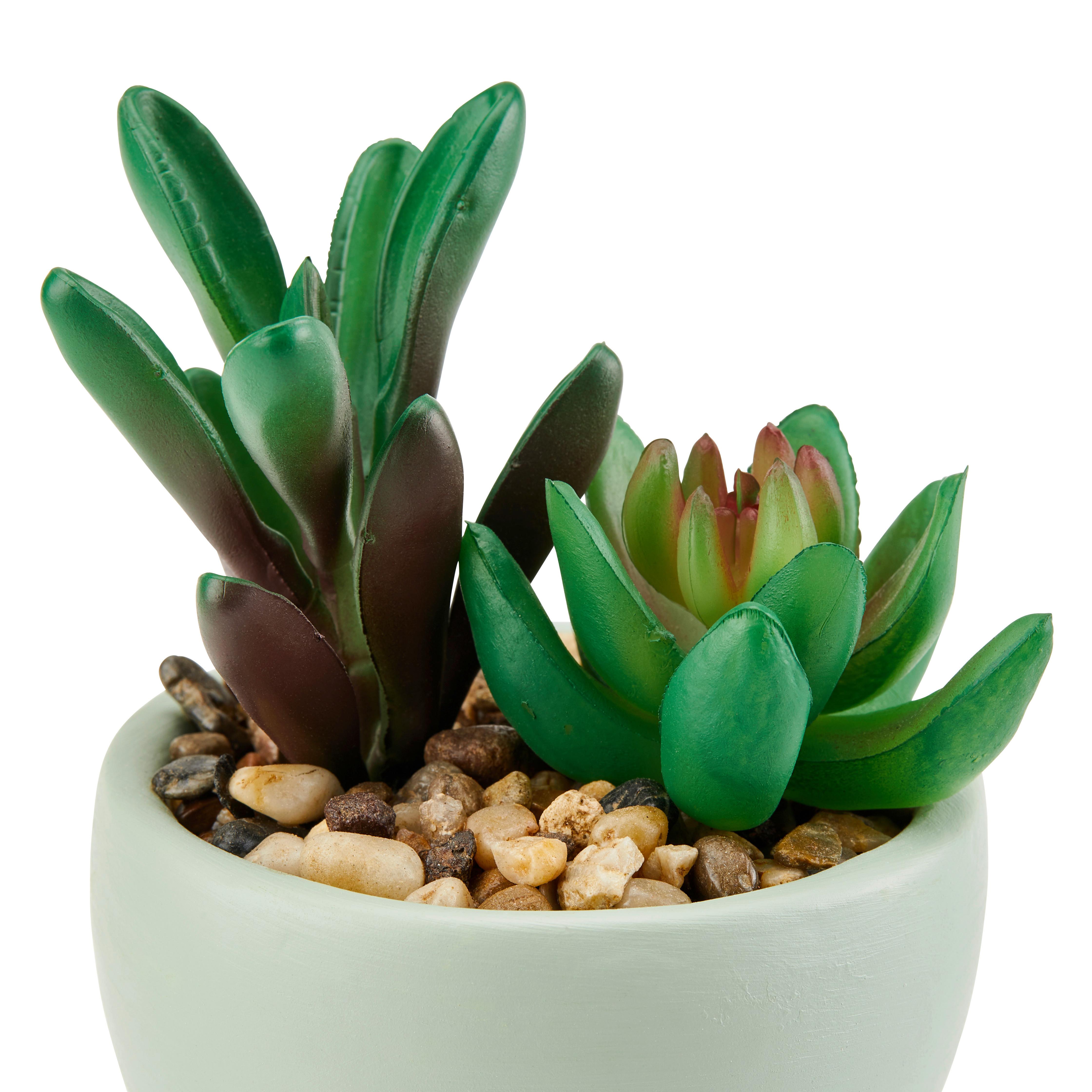 Kunstpflanze Sukkulente Grün/ Lila L: 23 cm, Herkol - Lila/Mintgrün, MODERN, Keramik/Kunststoff (9/8/23cm) - Luca Bessoni