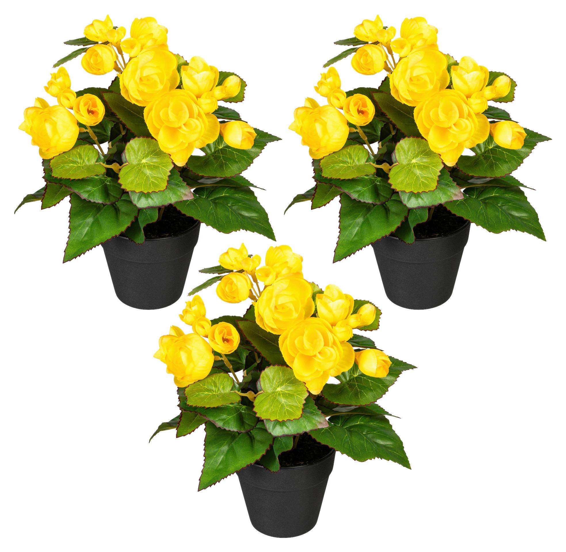 Kunstpflanze Begonien inkl. Topf D: 8 cm - Gelb/Schwarz, Design, Kunststoff (24cm) - P & B
