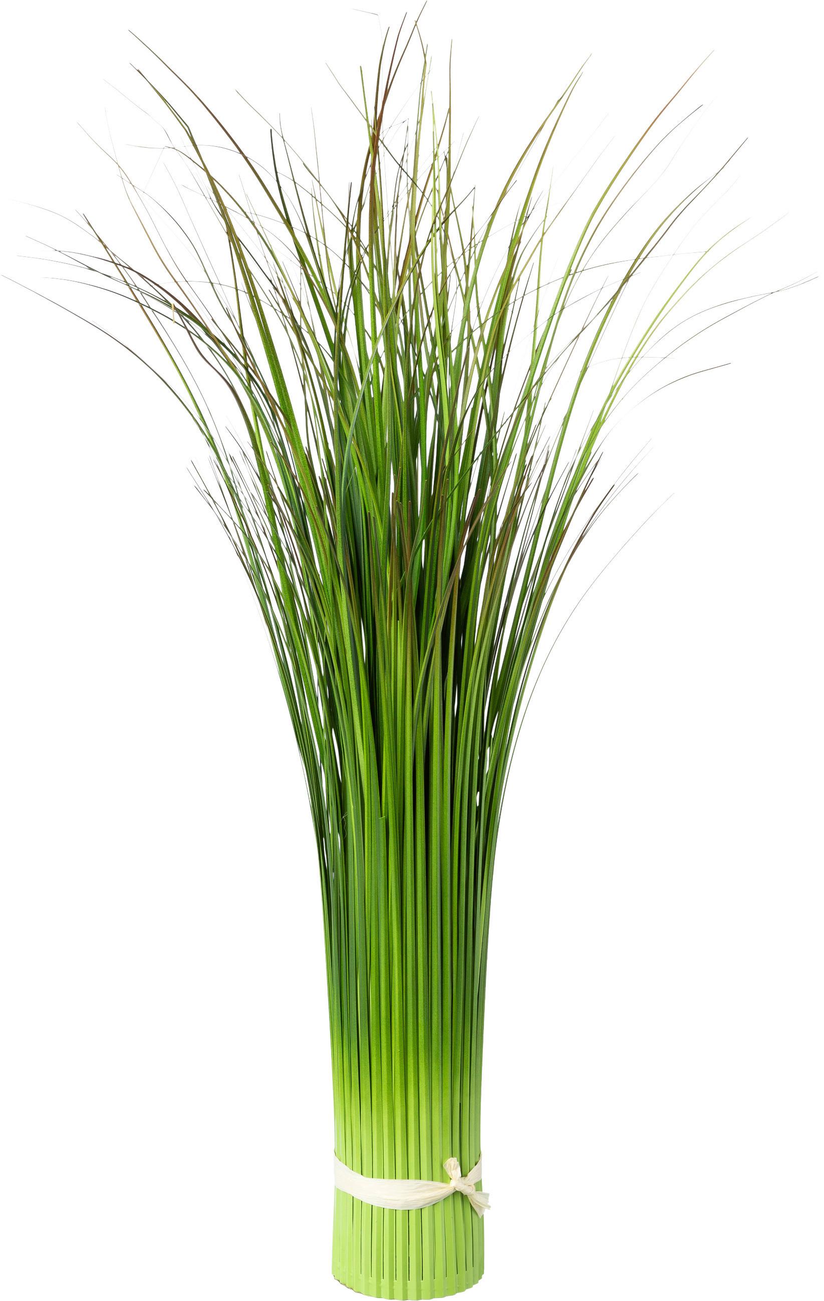 SVAZEK TRÁVY Markus, V: 60 cm - zelená, Basics (60cm) - Modern Living