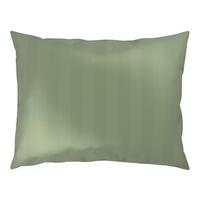 POTAH NA POLŠTÁŘ XENIA STREIF - světle zelená, Moderní, textil (40/60cm) - Premium Living