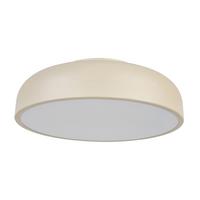 STROPNÍ LED SVÍTIDLO MIKE - Moderní (35/12,5cm) - Mömax