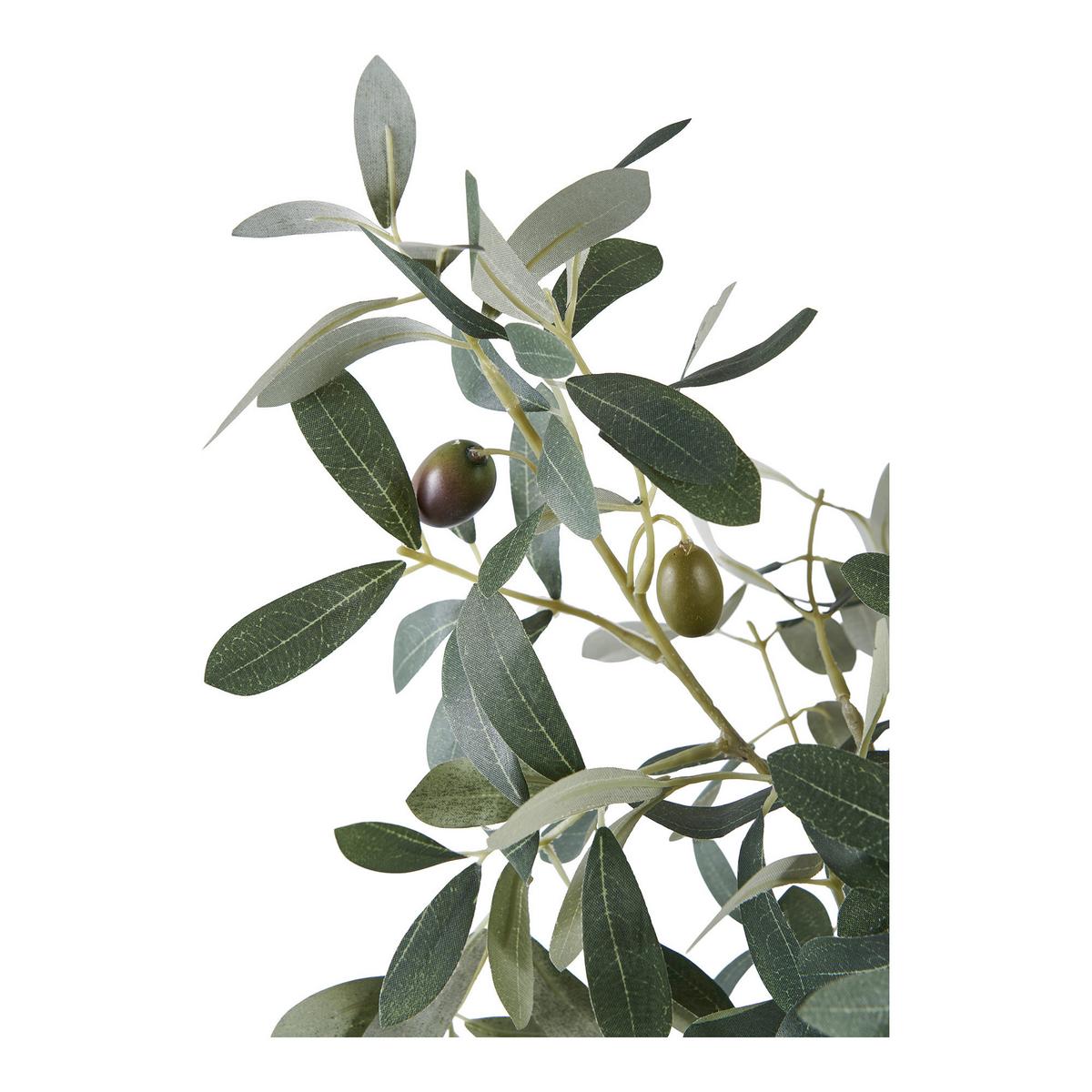 Kunstpflanze Olive Grün B: 22,5 cm - Grün, Design (22.5/61/36.5cm)