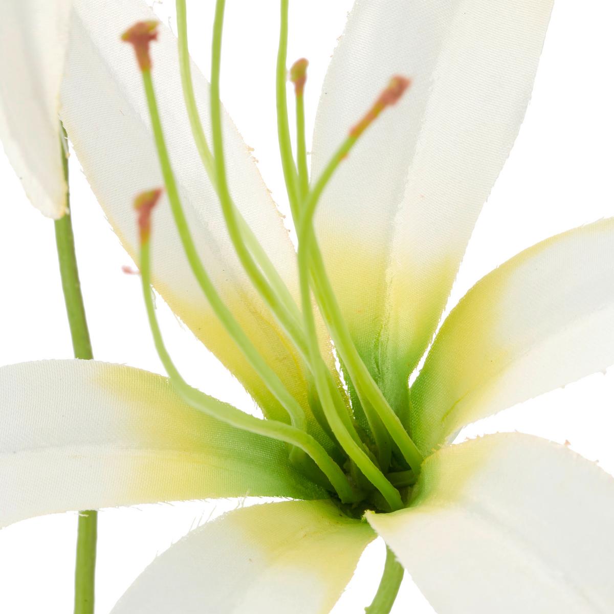 Ľalia LILIE I -PAZ- - biela/zelená, Basics, kov/textil (100cm) - Mömax