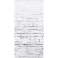 Fototapete Betonoptik B/H: 150/280cm - Weiß, Basics, Papier/Kunststoff (150/280cm)